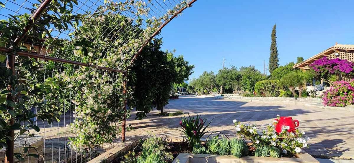 Tympáki Stonehouse Olivelia - Afrathias Beach מראה חיצוני תמונה